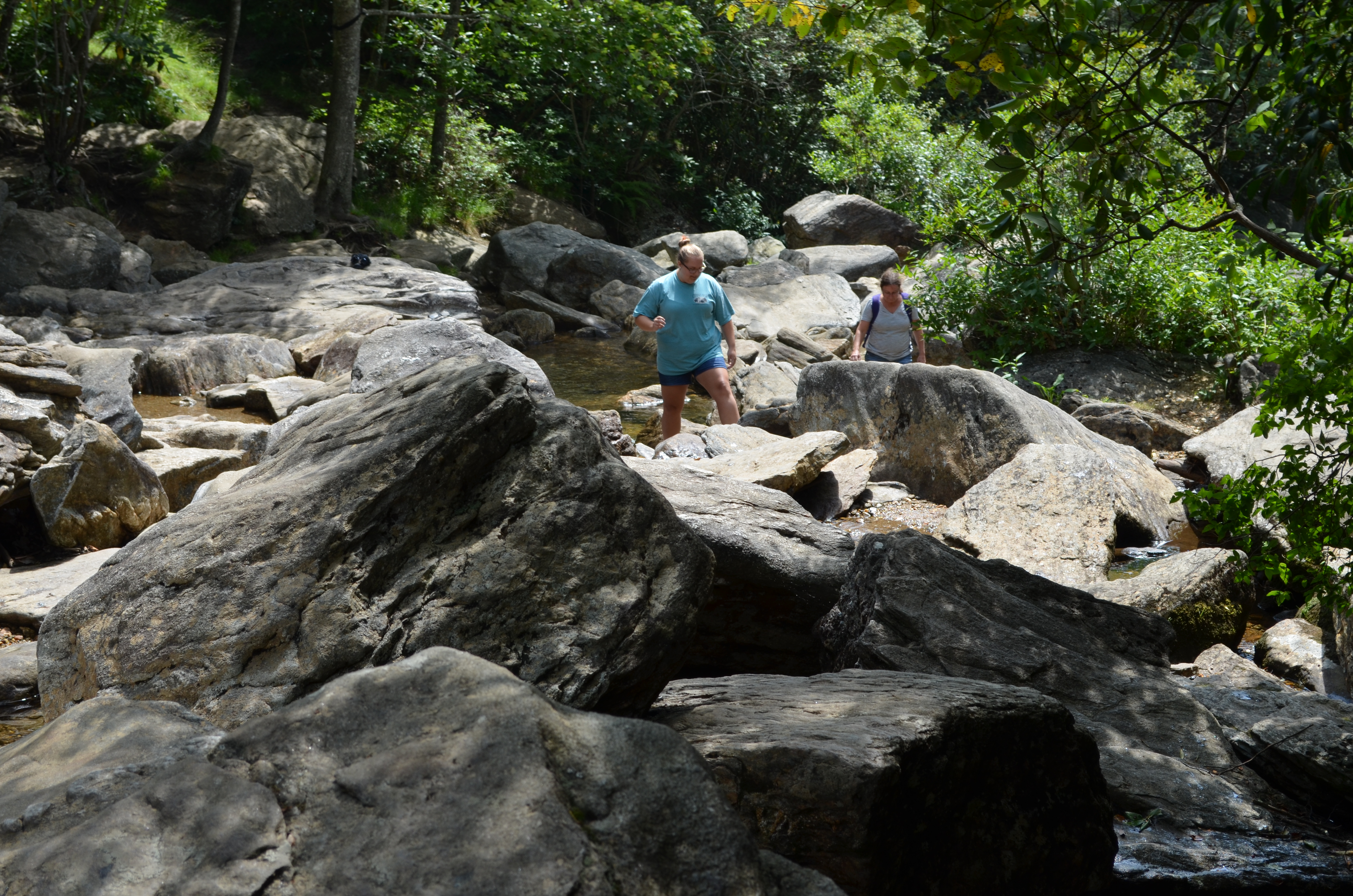 ./2016/14 - Asheville/02 - Second Falls/DSC_0765.JPG